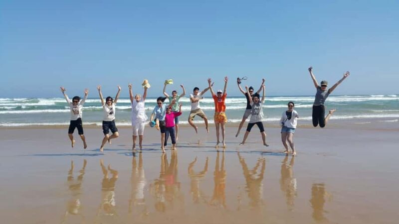 Port Stephens: Unlimited Sandboarding with 4WD Dune Transfer - What Do Reviews Say?