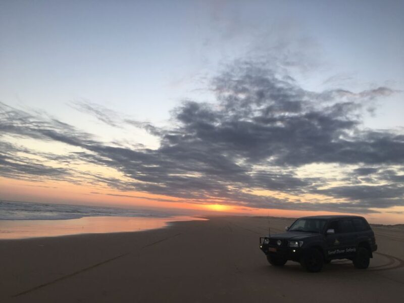 Port Stephens: Unlimited Sandboarding with 4WD Dune Transfer - Who Will Get the Most Out of This?
