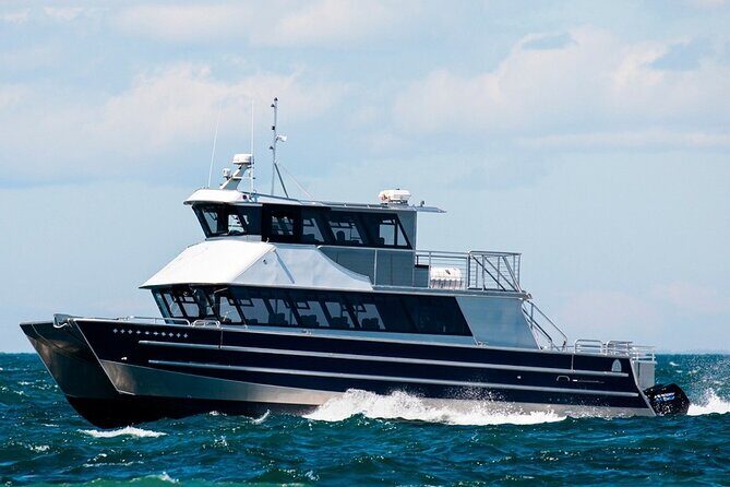 Port Townsend Wildlife Watching Cruise - A Closer Look at the Experience