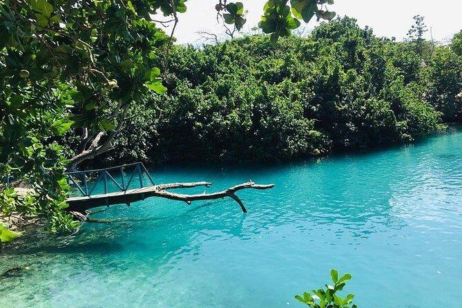 Port Vila Full Day Tour - Experience the Real Vanuatu - Authenticity and Value
