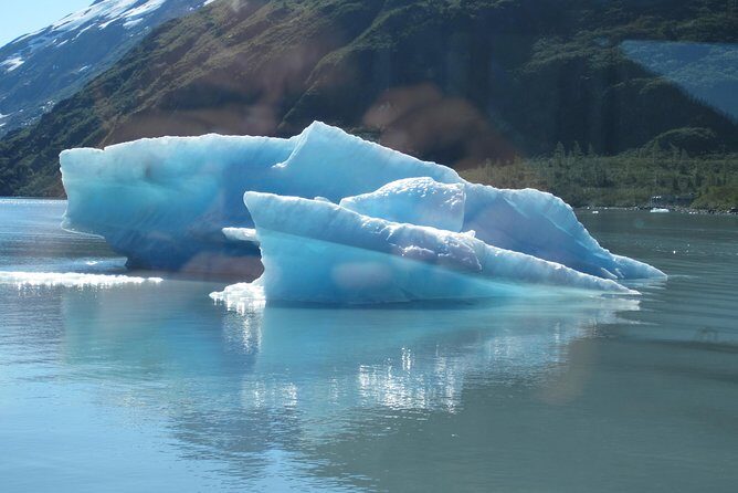 Portage Glacier Cruise and Wildlife Explorer Tour - Practical Tips for Travelers