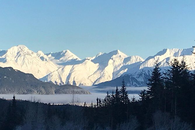 Portage Glacier Cruise and Wildlife Explorer Tour - Why Choose This Tour?