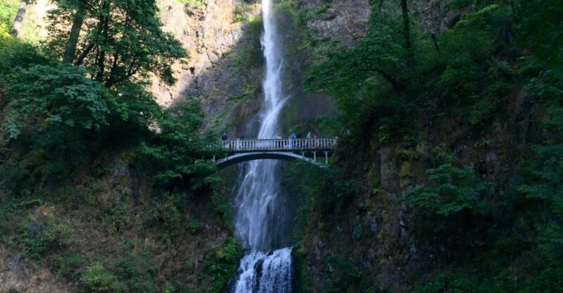 Portland: Columbia River Gorge 3-Hour Small Group Tour - Authentic Experiences and Tips from Reviews