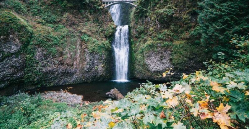 Portland: Columbia River Gorge Waterfalls Afternoon Tour - The Sum Up: Who Should Consider This Tour?
