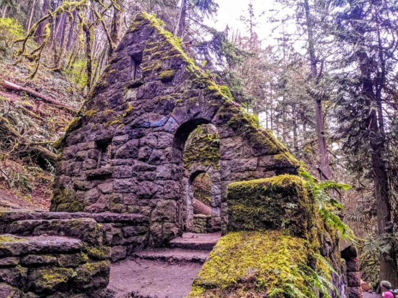 Portland: Forest Park Guided Hike with Witches Castle - Key Points
