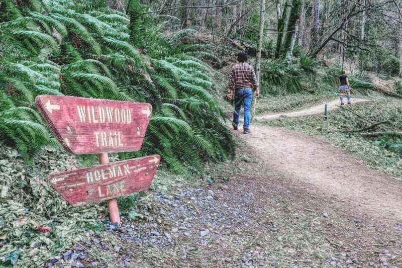 Portland: Forest Park Guided Hike with Witches Castle - The Sum Up