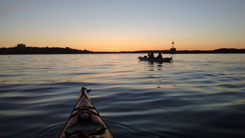 Portland, Maine: Sunset Kayak Tour with a Guide - Who Will Appreciate This Tour?