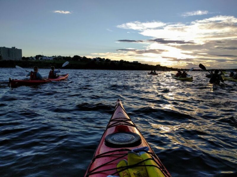Portland, Maine: Sunset Kayak Tour with a Guide - The Sum Up