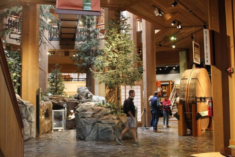 Portland: Morning City Highlights Tour - What to Expect from the Portland Morning City Highlights Tour
