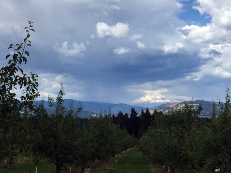 Portland: Mount Hood Wine and Waterfalls Full-Day Tour - Value and Practical Tips