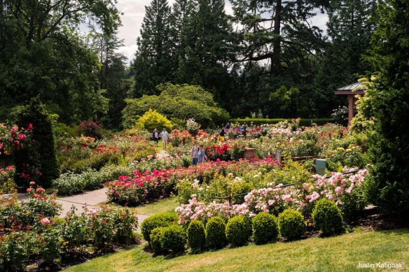 Portland, Oregon: City Highlights Tour with Aerial Tram Ride - A Closer Look at the Tour Experience