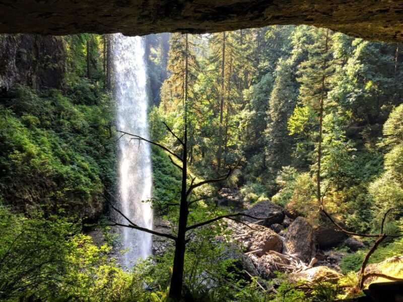 Portland: Silver Falls Hike - Discovering Oregon’s Natural Treasures