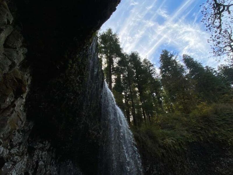 Portland: Silver Falls State Park Waterfall Hike - Exploring Silver Falls State Park: What you can Expect