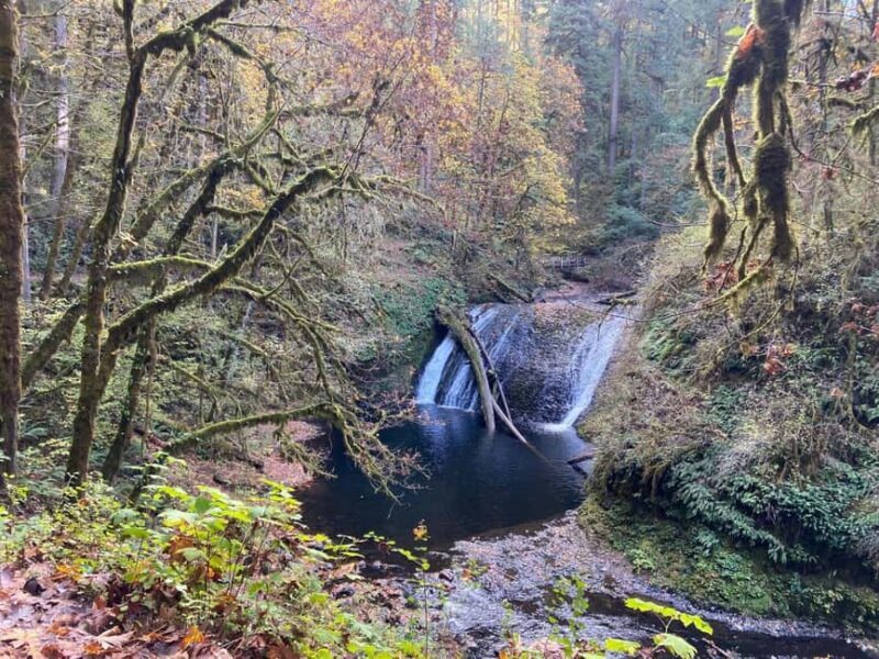 Portland: Silver Falls State Park Waterfall Hike - The Bottom Line: Who Should Consider This Tour?