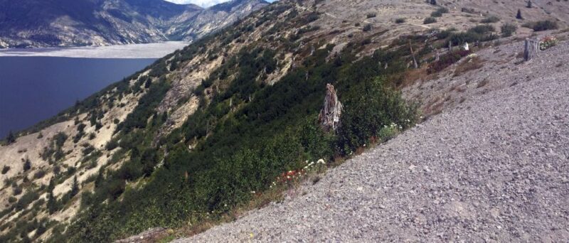 Portland: The Mt. St. Helens Adventure Tour - The Lava Tree Mold and Fairy-Tale Landscape