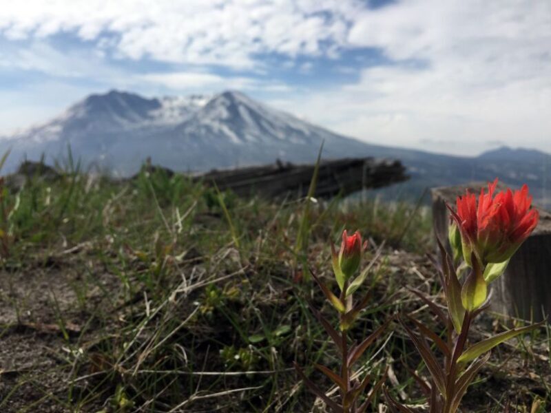 Portland: The Mt. St. Helens Adventure Tour - Logistics & Practicalities