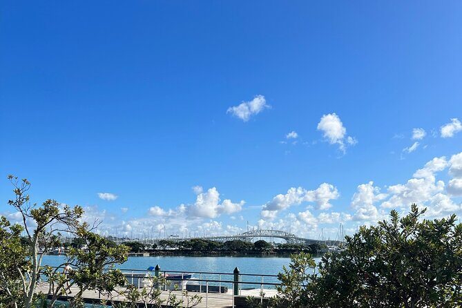 Ports Of Auckland Private Highlights Tour To Auckland Airport - Why Choose This Tour?