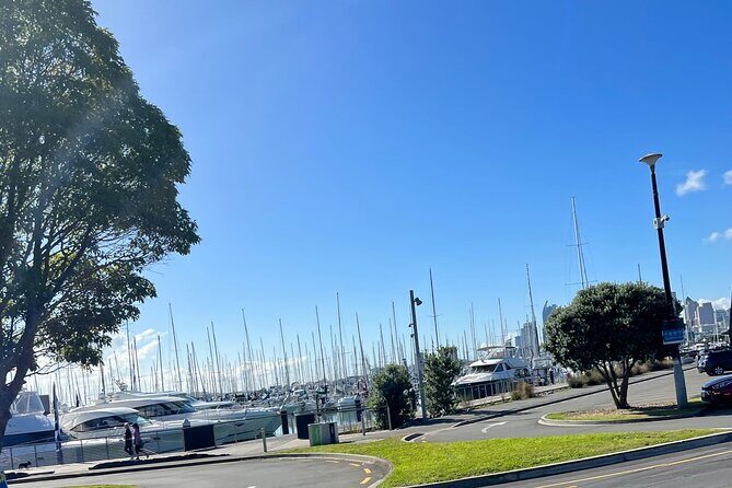 Ports Of Auckland Private Highlights Tour To Auckland Airport - FAQ