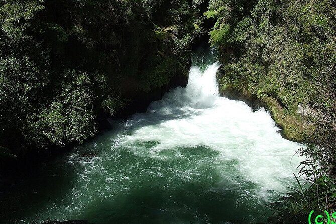 Ports of Tauranga/Rotorua/Tga - 6 Hours Rotorua Highlights Tour - Lake Tikitapu (Blue Lake) and Lake Rotokakahi