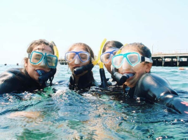 Portsea: Guided Snorkeling Tour with Weedy Sea Dragons - The Sum Up