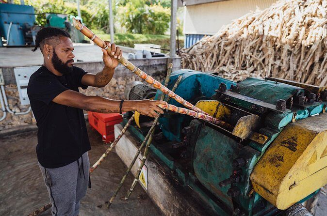 PortVila Distillery Experience at 83Islands Distillery, Vanuatu - Who Should Consider This Tour?