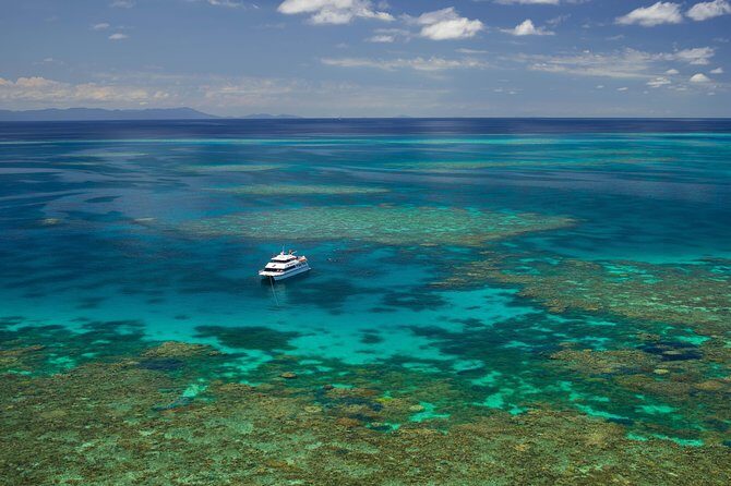 Poseidon Outer Great Barrier Reef Snorkeling and Diving Cruise from Port Douglas - Key Points