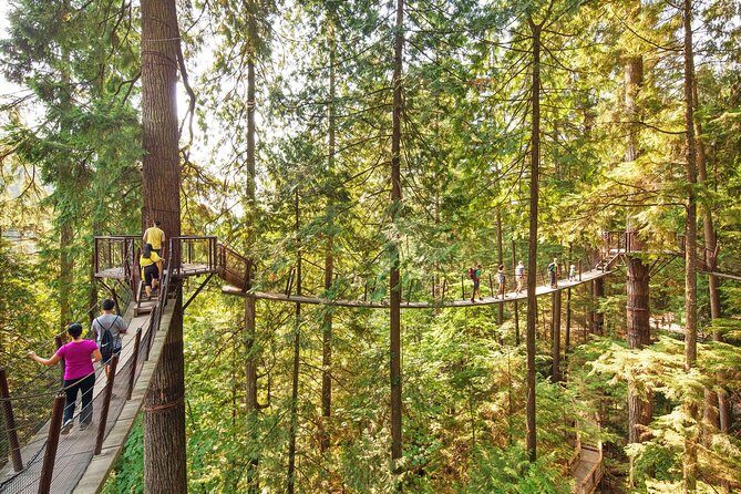 Post-Cruise Shore Excursion: Capilano Suspension Bridge & Grouse Mountain - Key Points