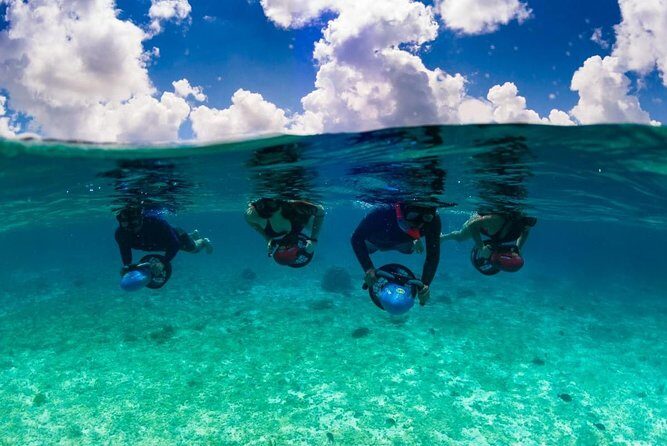 Power Snorkel by Sea Scooter & Flavored Tequila tasting - Setting Out: From Shore to Underwater Adventure