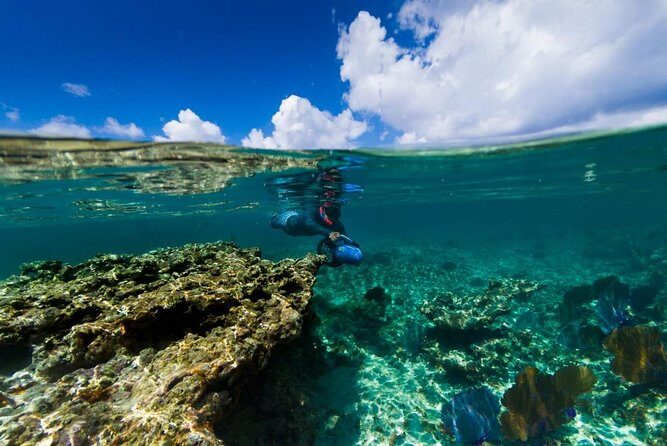 Power Snorkel By Sea Scooters & Tequila Tasting - An In-depth Look at the Tour