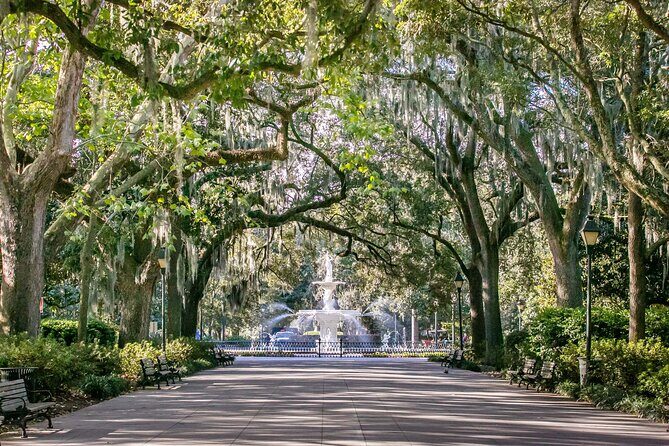 Power Up Your Girls Trip with Savannah Mobile Yoga Class - Practical Tips for Booking