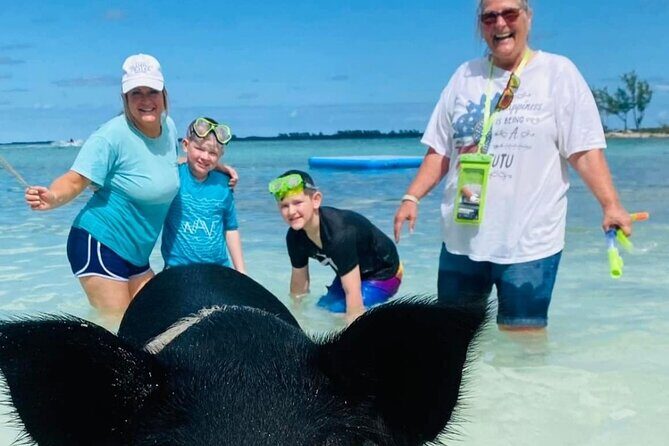 Powerboat and Snorkel Experience with Swimming Pigs and Turtles - An Overview of the Tour
