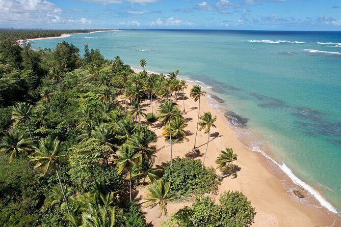 PR Chinchorreo-Beach and Bar Hopping Tour - Key Points