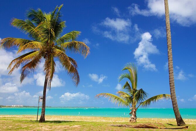 PR Chinchorreo-Beach and Bar Hopping Tour - Reviews: Authentic Perspectives