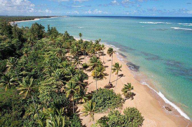 PR Chinchorreo-Beach and Bar Hopping Tour - FAQ: Your Practical Questions Answered