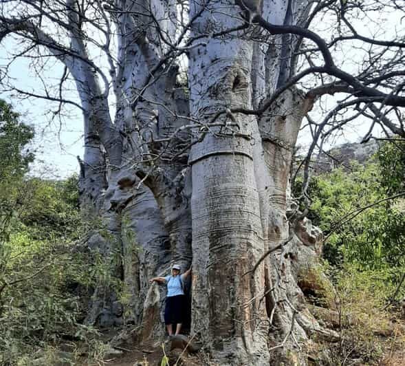 Praia: Guided Nature Hike to Cidade Velha - An In-Depth Look at the Guided Hike