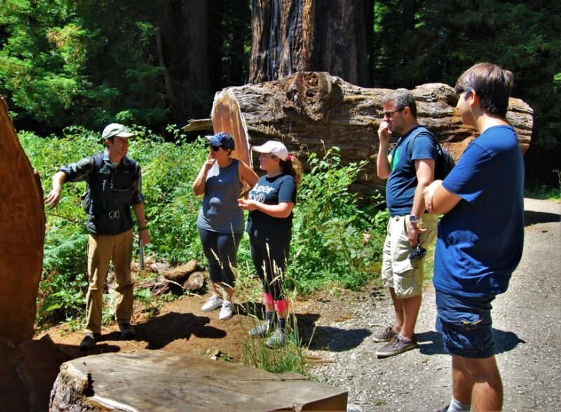 Prairie Creek State Park: Redwood Forest Hiking Tour - Frequently Asked Questions