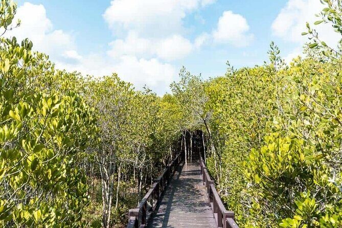 Pranburi Forest Park and Khao Daeng Join Tour from Hua Hin - Exploring Pranburi Forest Park