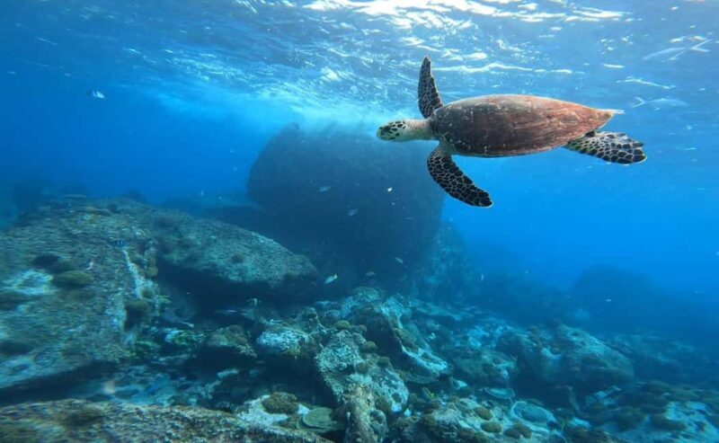 Praslin: Curieuse & St-Pierre Boat Adventure with Snorkeling - FAQs