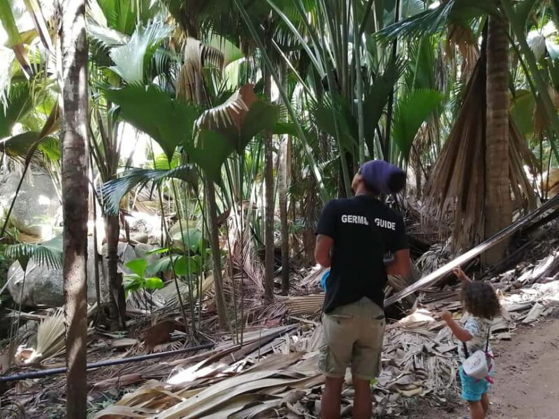 Praslin: private tour of the Vallée de Mai with a local guide - The Sum Up