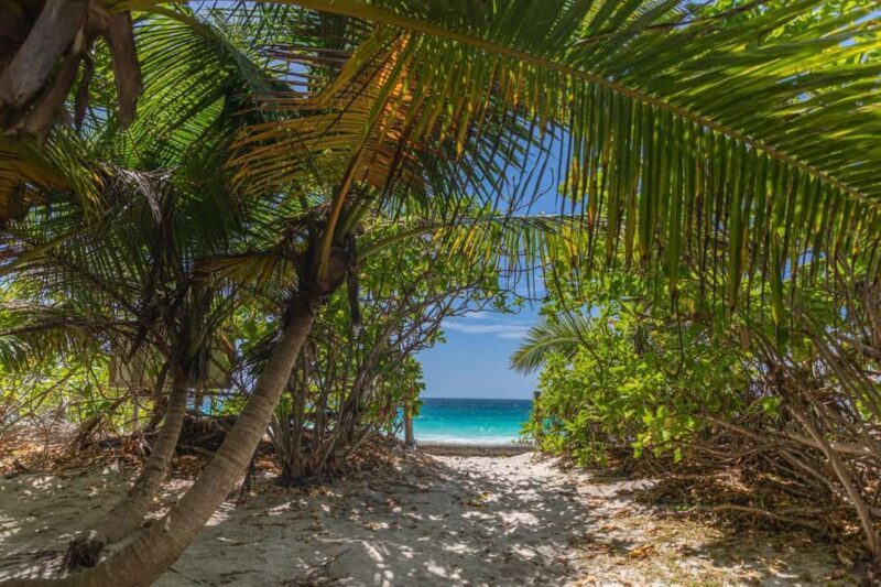 Praslin: Sister & Coco Island Full-Day Cruise and Creole BBQ - A Detailed Look at the Sister & Coco Island Cruise