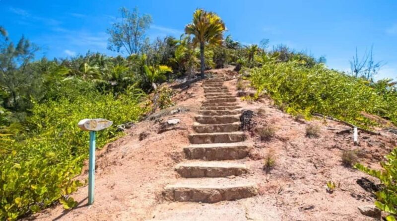 Praslin : Tour (Shared) - Exploring the Praslin Shared Tour: A Realistic Look at Nature and Beaches