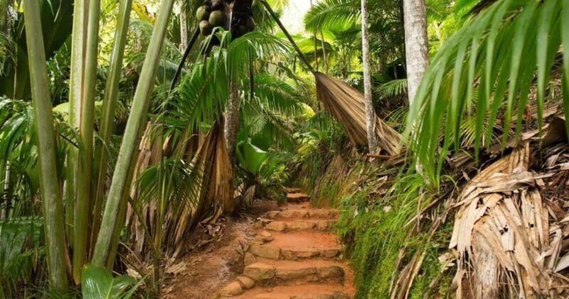 Praslin : Tour (Shared) - FAQ
