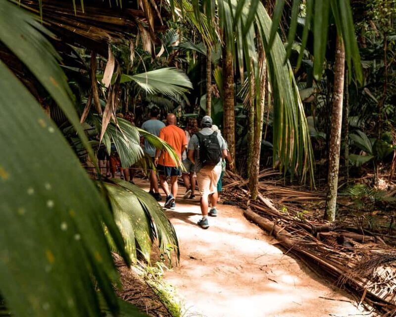 Praslin: Vallee de Mai Guided Hike with Transfer - What to Expect During the Hike