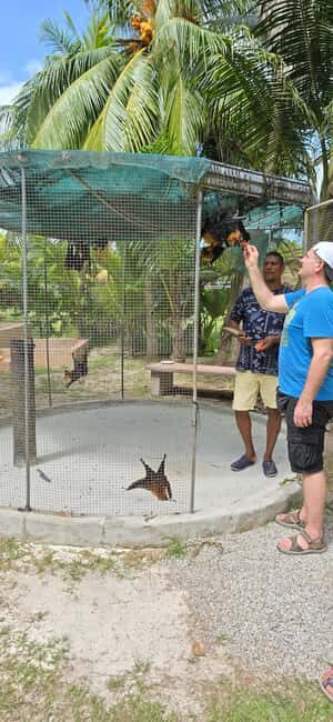 Praslin:DayTour ValleDeMai,CoteD'orMuseum & AnseLazio - Key Points