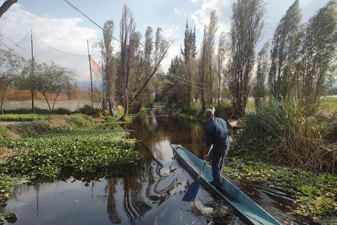 Pre-Hispanic Xochimilco and ajolotario. Private Ecotour. - Detailed Breakdown of the Itinerary