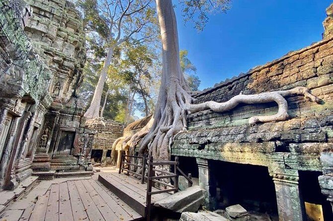 Preah Khan, Ta Prohm, Bayon Off Beaten Track - Why Choose This Tour?