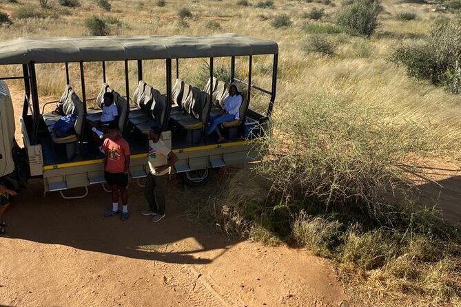 Predator Encounter: Half-Day Carnivore Feeding Windhoek - The Itinerary: Step-by-Step Breakdown
