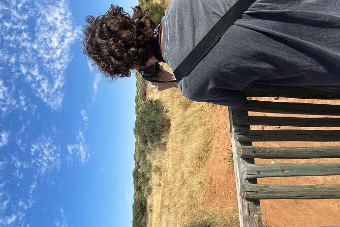 Predator Encounter: Half-Day Carnivore Feeding Windhoek - The Practicalities: Transportation, Group Size, and Timing
