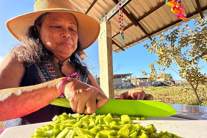 Prehispanic Tacos Cooking Class - What the Tour Includes and How It Runs