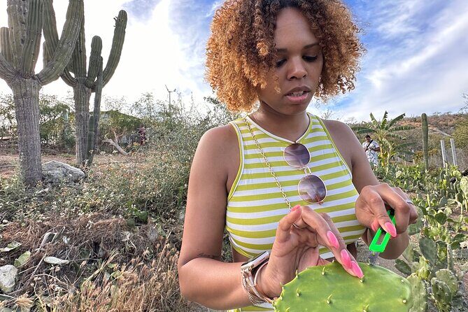 Prehispanic Tacos Cooking Class - The Cost and Its Value